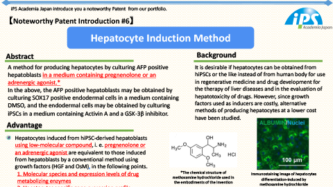Hepatocyte Induction Method